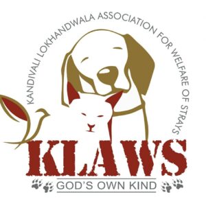 WhatsApp Image 2025-03-11 at 2.13.22 PM